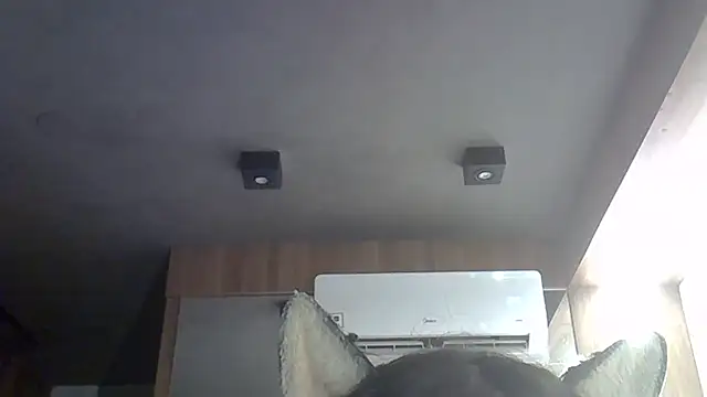 SkinnyKitten Obrolan Langsung XXX