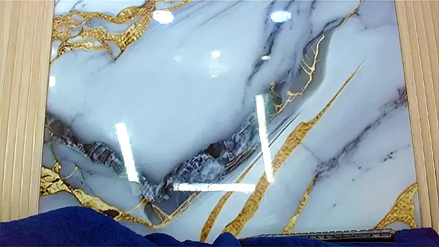 DaviidBuckx_ webkamerás műsora