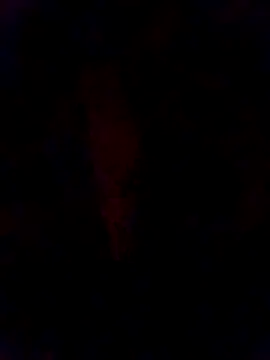 smsma2000のライブXXXチャット