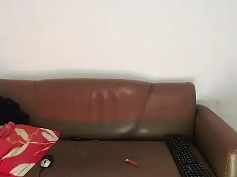 Show webcam de Braxel93