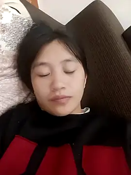 han-camx 网络视讯表演