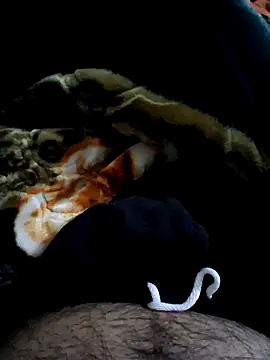 دردشة aman4404 الجنسية المباشرة