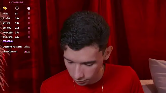 عرض كام VicenteFerrer