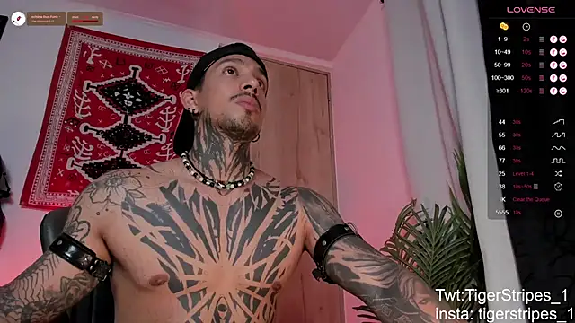 Chat XXX ao vivo de TigerStripes1_