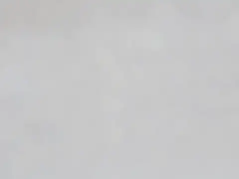 Anime901 现场XXX聊天