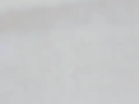 Chat +18 de Anime901 ao vivo