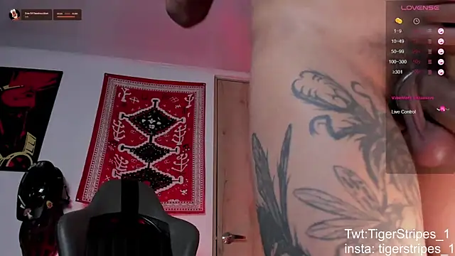 TigerStripes1_: διαδικτυακό σόου στην κάμερα