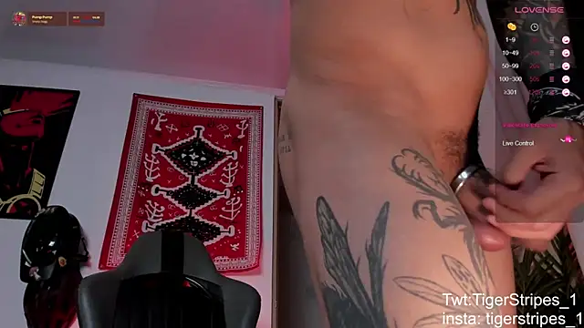 TigerStripes1_'s Webcam Show