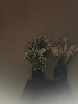 Chat XXX ao vivo de SLNatasha