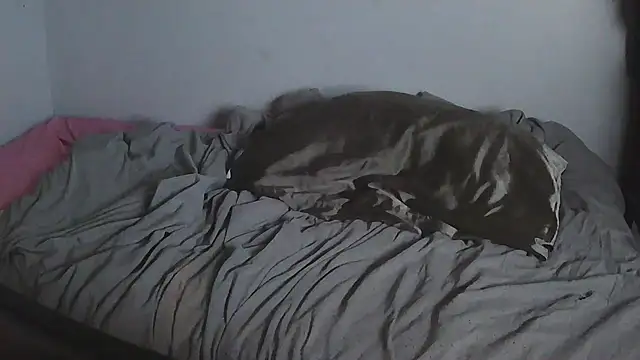 HoustonHOTboy Obrolan Langsung XXX