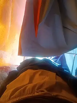 Stallionbull37 live XXX chat