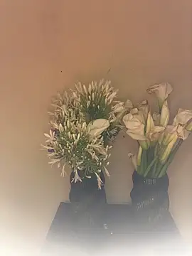 عرض كام SLNatasha