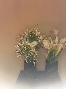 SLNatasha Pertunjukan Webcam