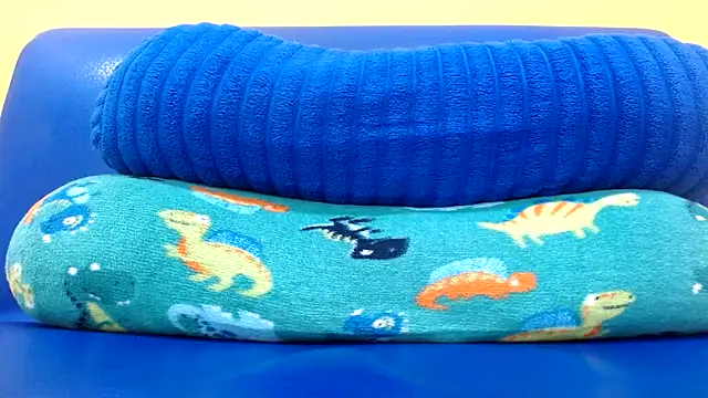 Chat XXX en directo de thebesthairypussy2