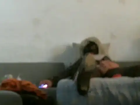 qwer1234 Chat XXX in diretta