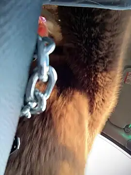 pinkstar_ Live XXX-Chat