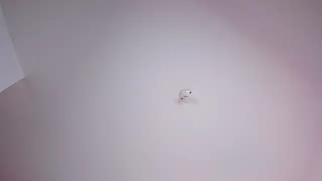 Pertunjukan Kamera Web _Saraah