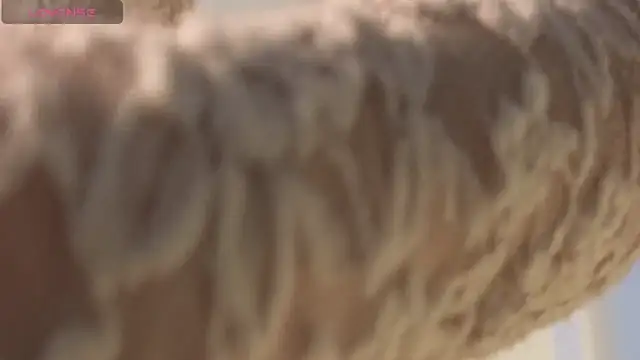 Anna_Carters: απευθείας συνομιλία ΧΧΧ