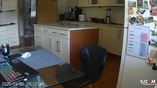 Show Webcam de realdilf