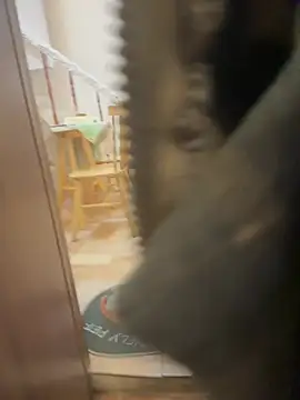 Hamy88 现场XXX聊天