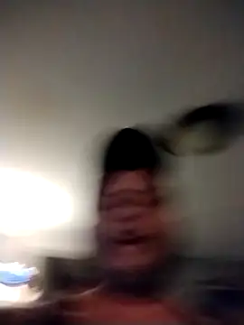 ShaneJames11 Live XXX-chat