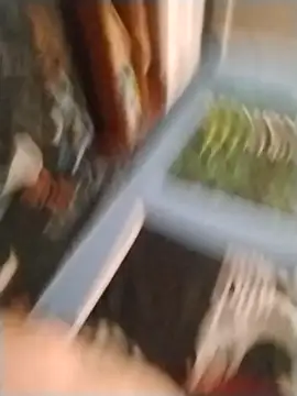 Show de kbigum88 na webcam