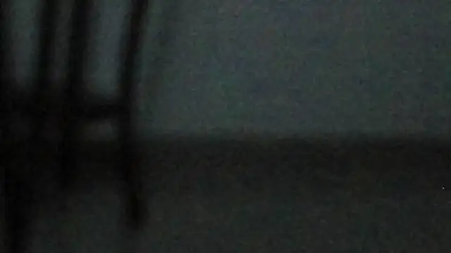 Faider_Mons élő XXX-chatje