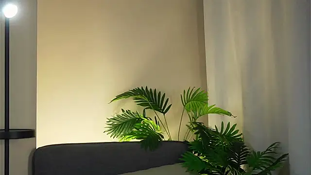 Chat XXX en directo de akumadadrive