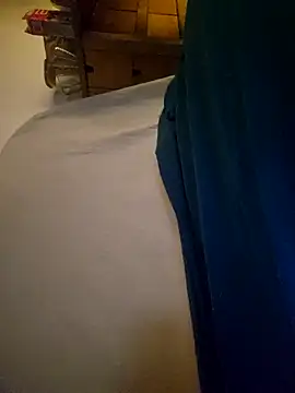 Diveruytj Pertunjukan Webcam