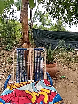 Hot_Veteran_1 Live XXX-chat