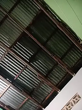 -Nicol's Live XXX Chat