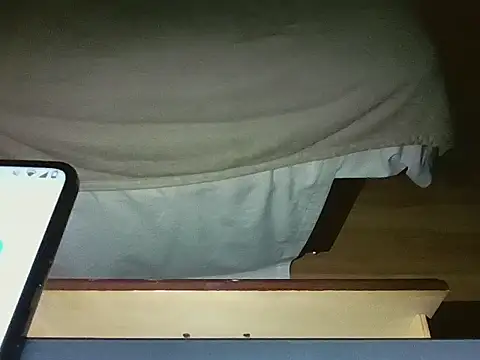 Pokazy przed kamerką – thedudeishere20261