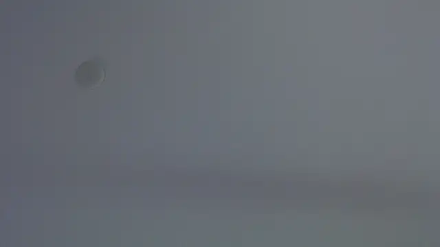 Scarlett_Jazmin Live XXX-chat