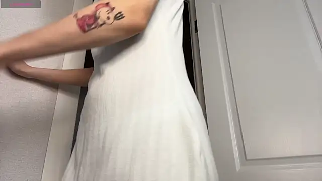 SibleyBurnerのウェブカメラショー