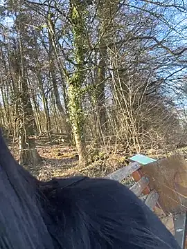 lorry6's Live XXX Chat