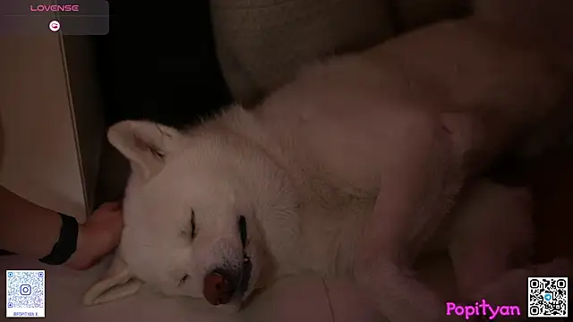 popityan1 Live XXX Chat