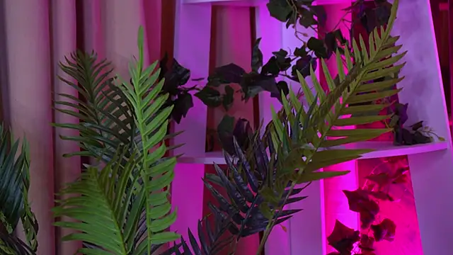 Chat XXX en directo de LittleeCutee