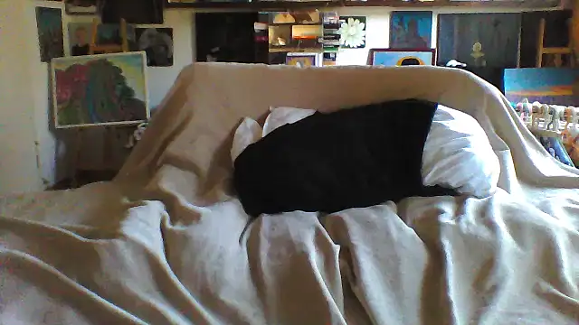 MariaAnaSunshine Live XXX-Chat