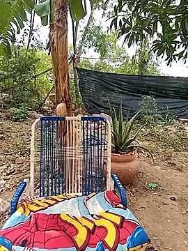 Hot_Veteran_1 Adlı Modelin Web Kamerası Şovu