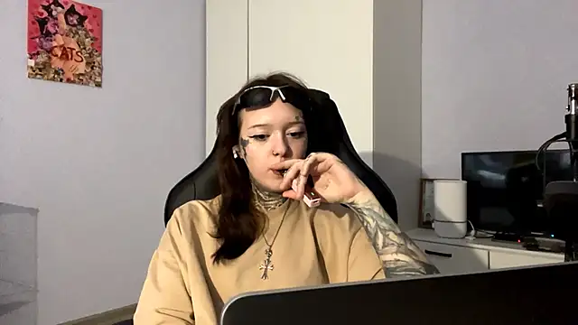 Littleways Webcam show