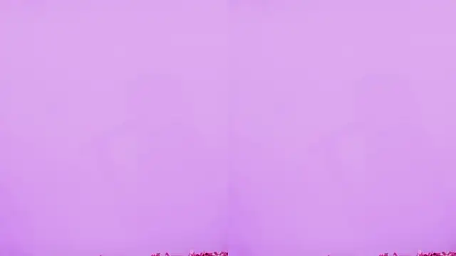 stt0708 – Kamerová šou