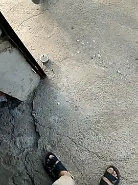 عرض كام M_Bull_Play_Boy