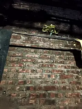 Chat +18 de siki-00 ao vivo