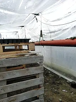 XXX chat uživo modela EmmaSquirt