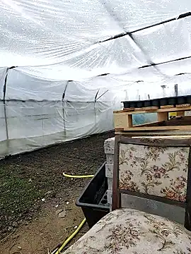 Živý XXX chat EmmaSquirt