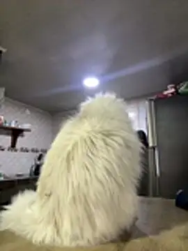 RachelWeisz_ Live XXX-chat