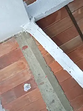 Cataleya_ja 现场XXX聊天