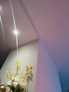 عرض كام NicoleCut