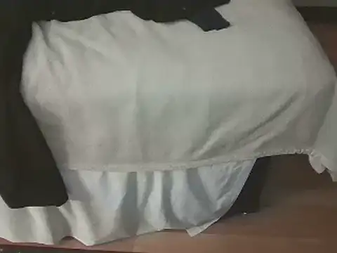 thedudeishere20261 Show Webcam