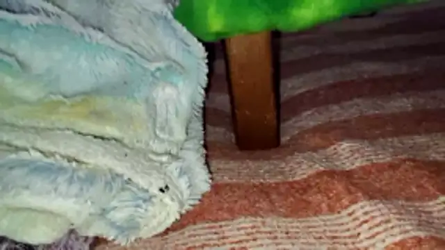 LordSpunFun Chat XXX in diretta